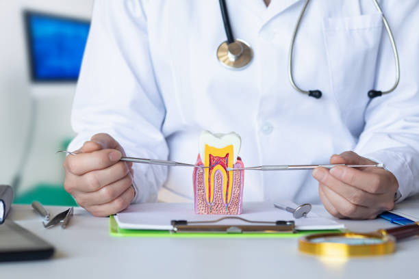 Best Broken Tooth Emergency  in Alto, TX